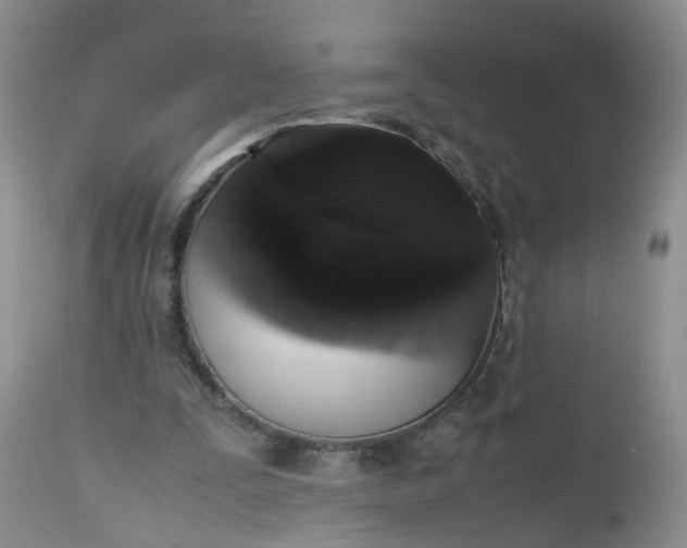 X0000112530295200908311429