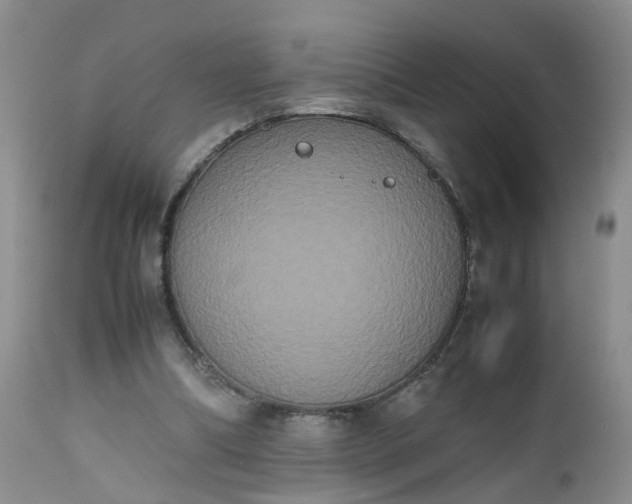 X0000112530298200908311429