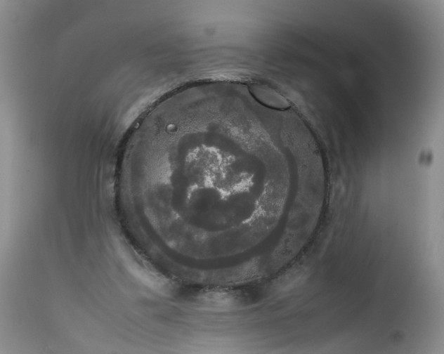 X0000112530299200908311429