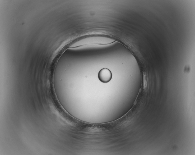 X0000112530300200908311429