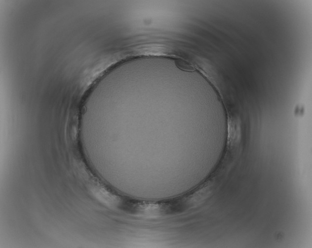 X0000112530301200908311429