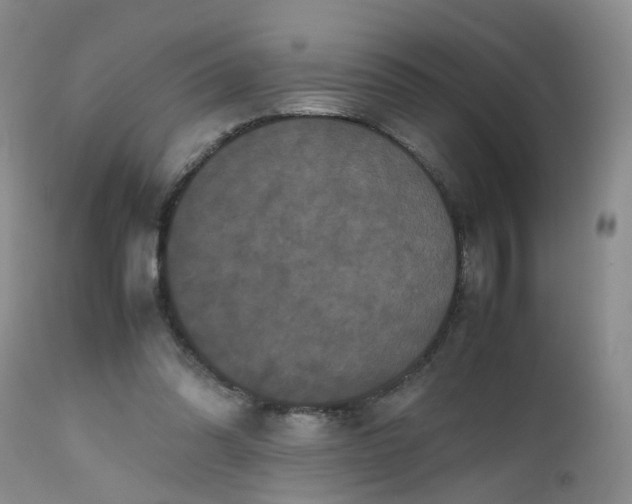 X0000112530302200908311429