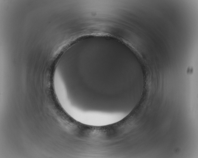 X0000112530303200908311429