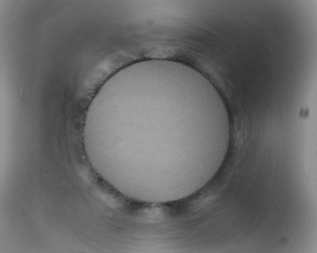 X0000112530307200908311429