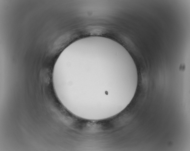 X0000112530311200908311429
