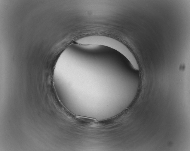 X0000112530313200908311429