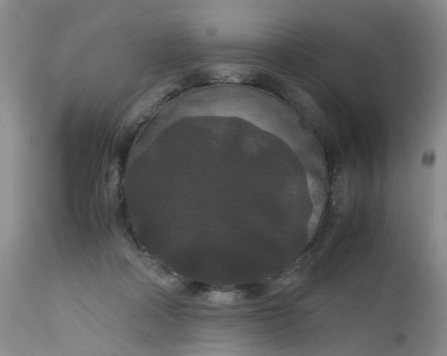 X0000112530314200908311429