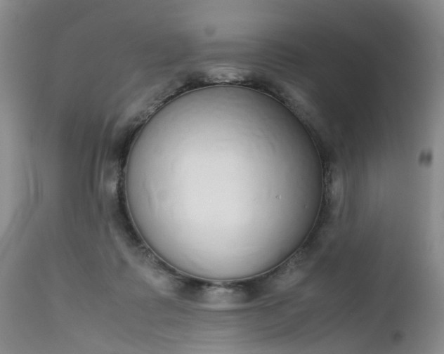 X0000112530315200908311429