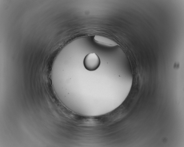 X0000112530316200908311429