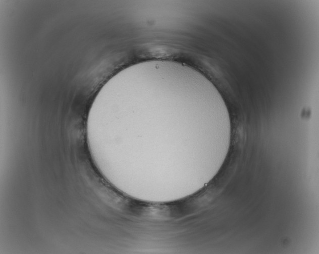 X0000112530317200908311429
