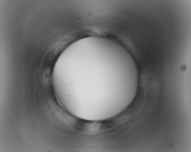 X0000112530318200908311428