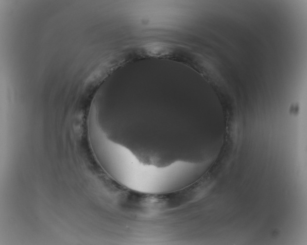 X0000112530319200908311428