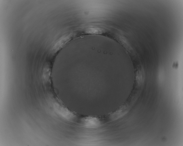 X0000112530322200908311428