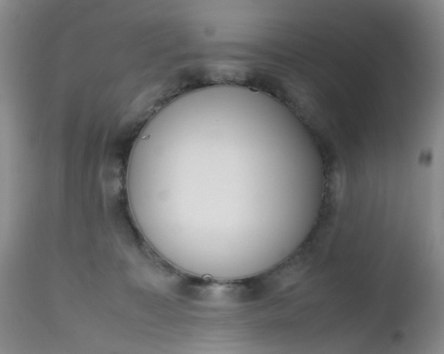 X0000112530323200908311428