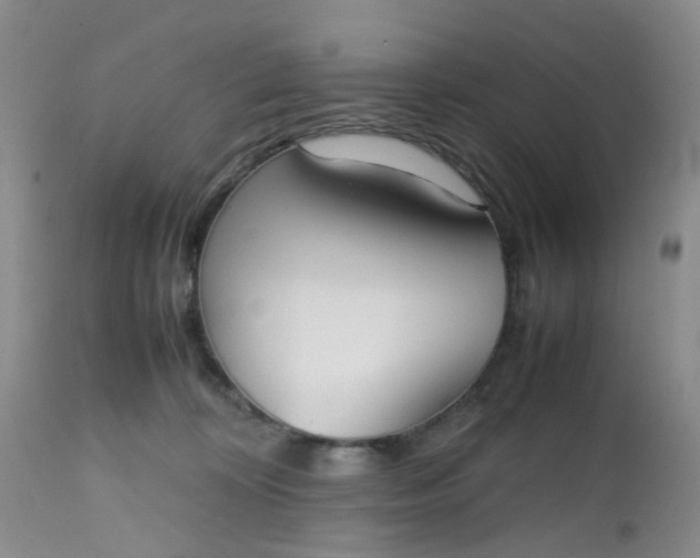X0000112530324200908311428