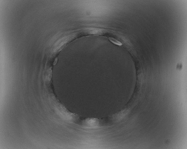 X0000112530325200908311428