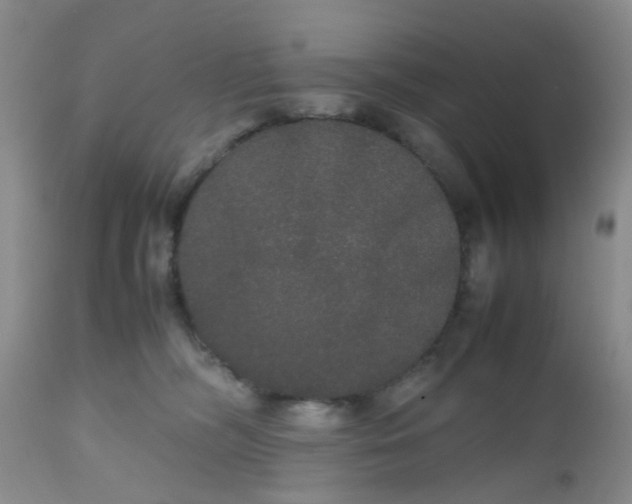 X0000112530326200908311428
