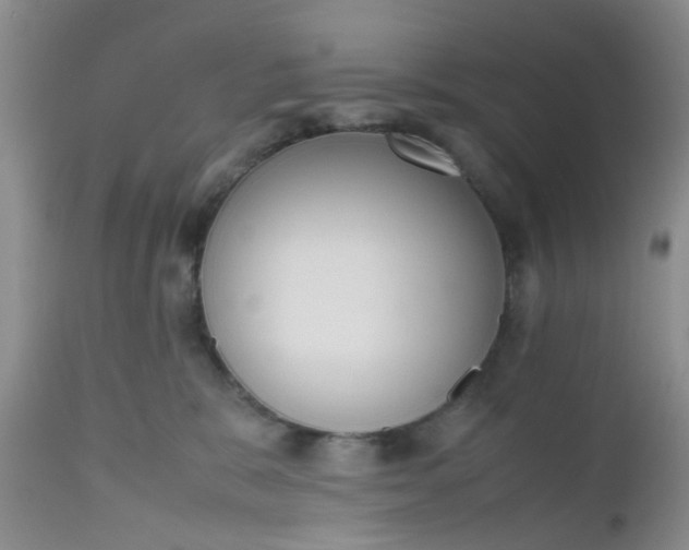 X0000112530327200908311428