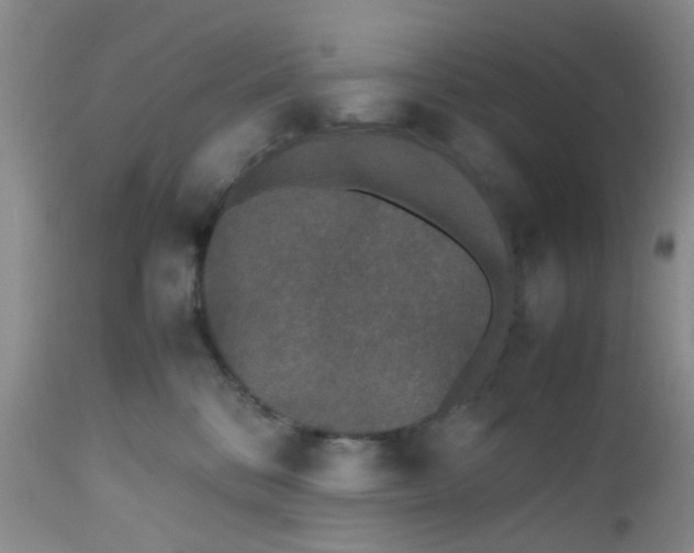 X0000112530328200908311428