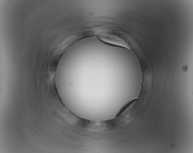 X0000112530329200908311428