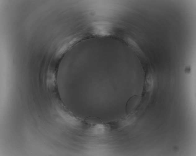 X0000112530330200908311428