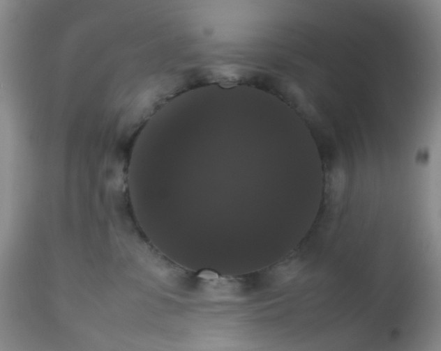 X0000112530331200908311428