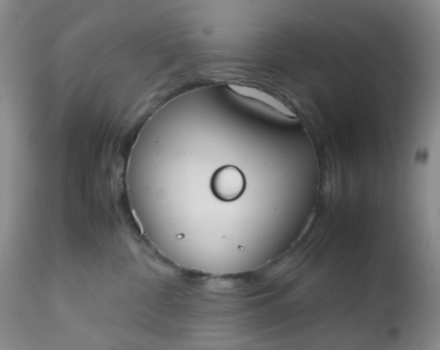 X0000112530332200908311428