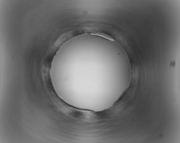 X0000112530333200908311428