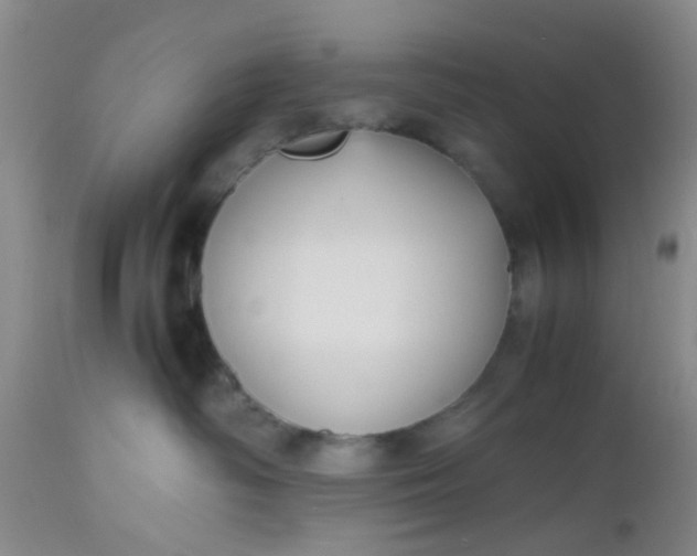 X0000112530334200908311428