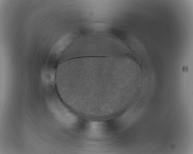 X0000112530336200908311428
