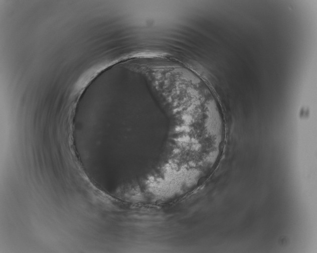 X0000112530337200908311427