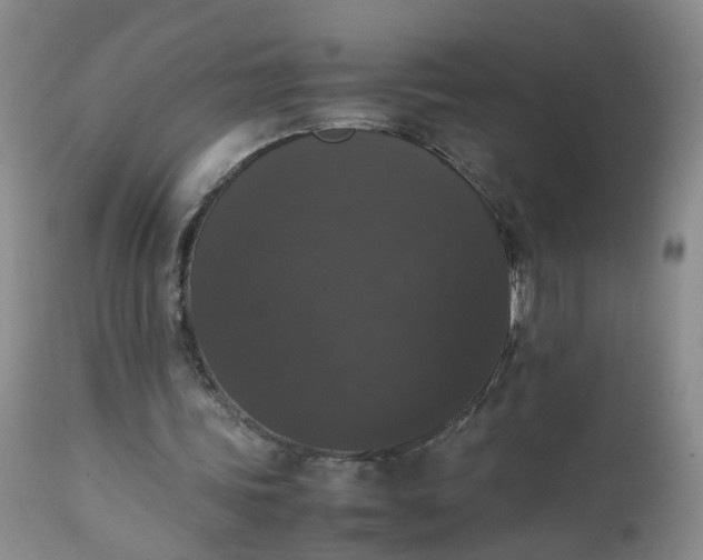 X0000112530339200908311427
