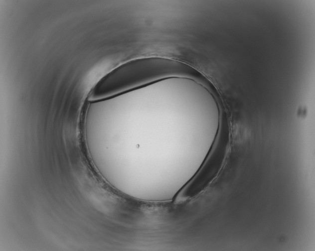 X0000112530340200908311427