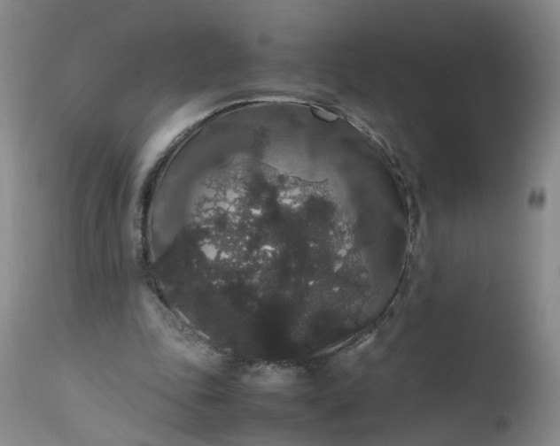 X0000112530343200908311427