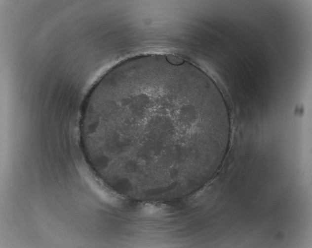 X0000112530346200908311427
