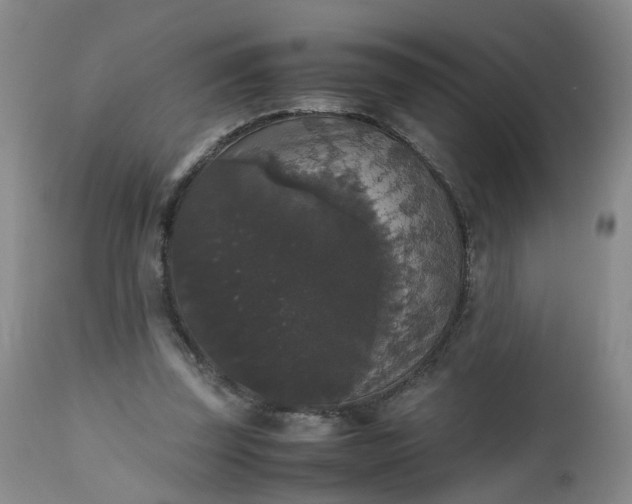 X0000112530347200908311427