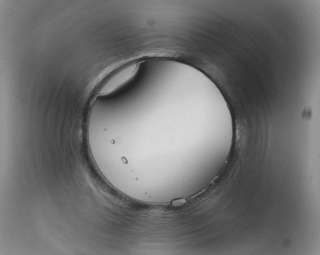 X0000112530348200908311427