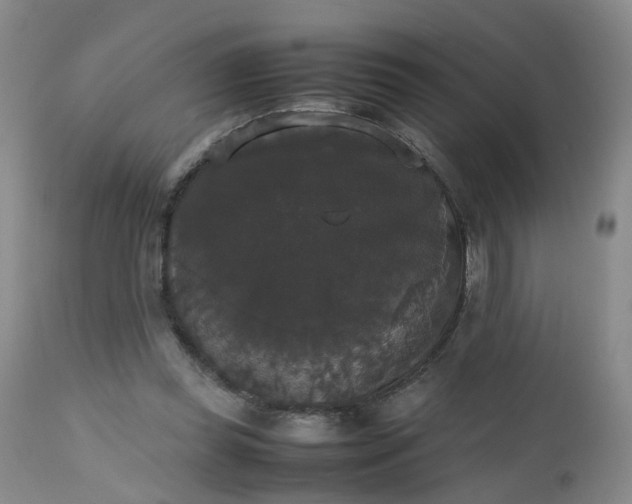 X0000112530349200908311427