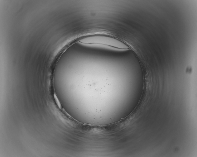 X0000112530350200908311428