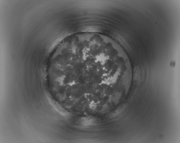 X0000112530351200908311428