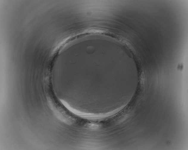 X0000112530352200908311428