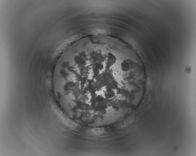 X0000112530353200908311428