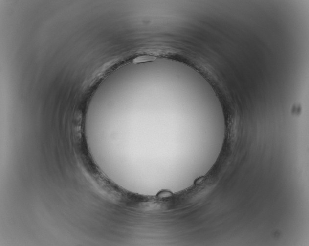 X0000112530356200908311428