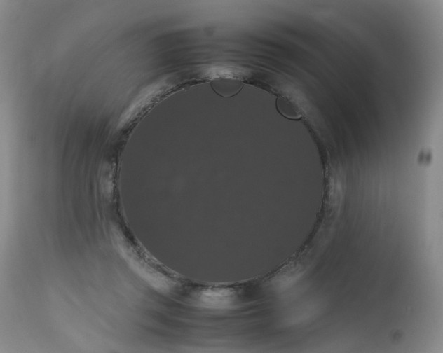X0000112530357200908311428