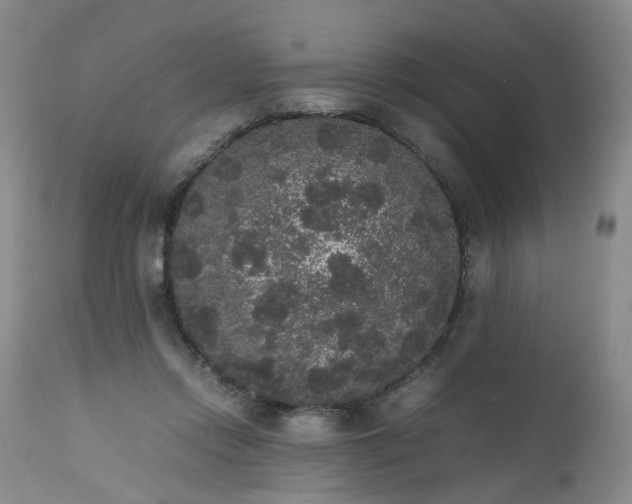 X0000112530358200908311428