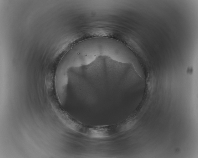 X0000112530359200908311428
