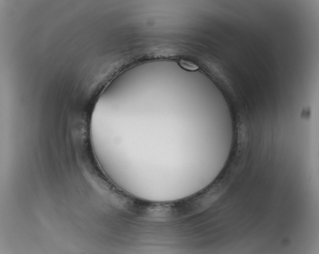 X0000112530362200908311428