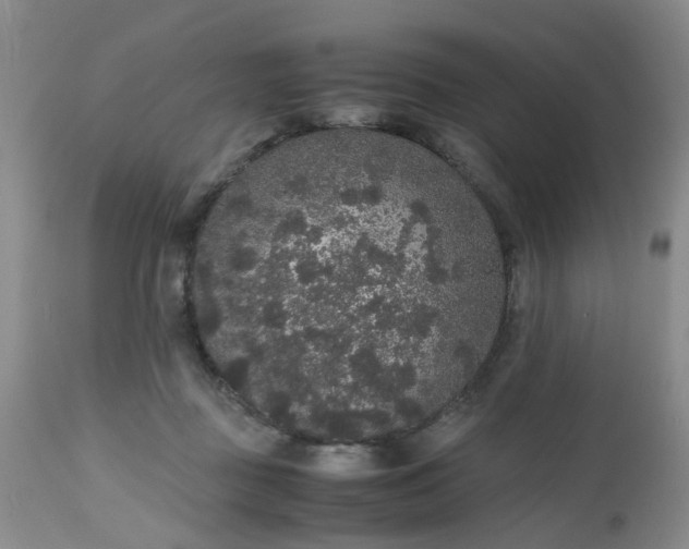 X0000112530363200908311428