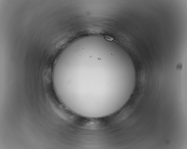 X0000112530364200908311428