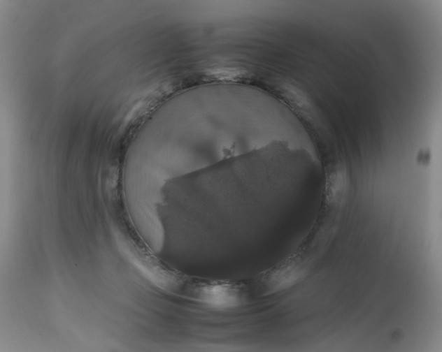 X0000112530365200908311428
